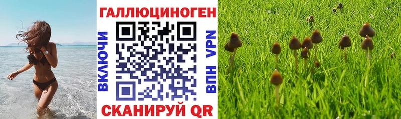 Галлюциногенные грибы прущие грибы  где купить наркотик  Березники 